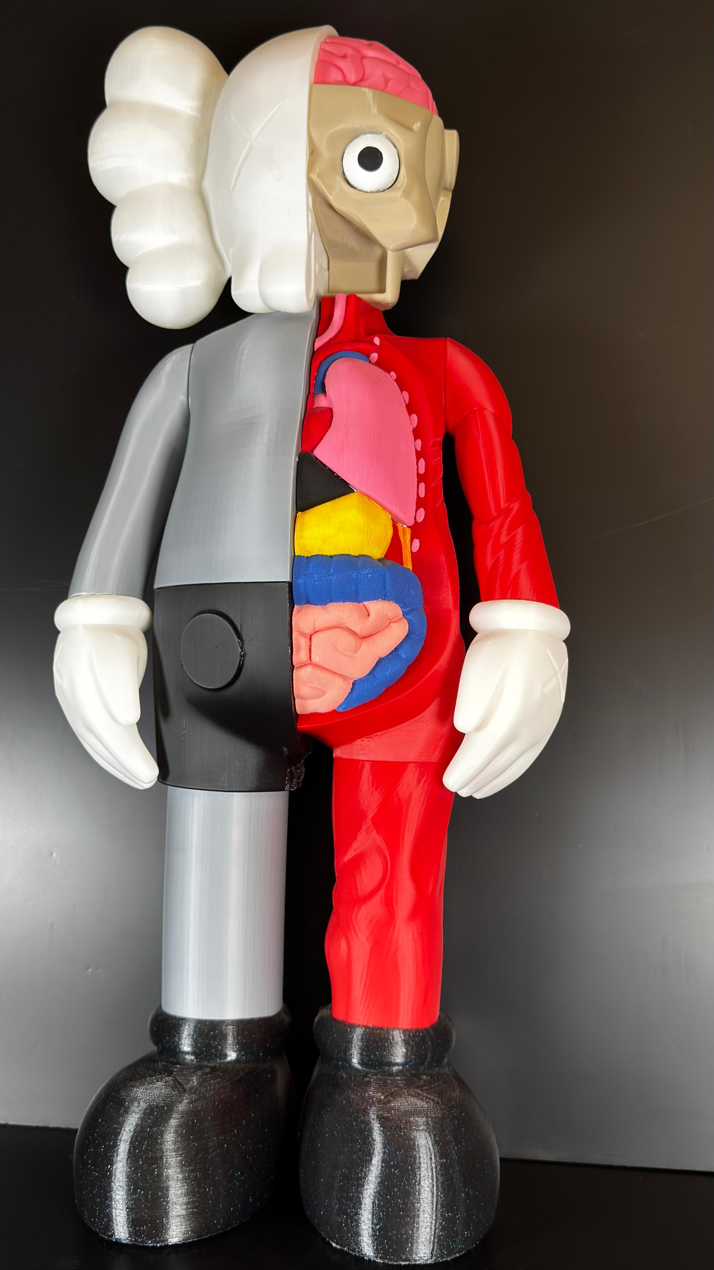 Kaws Disecado - Imagen 3