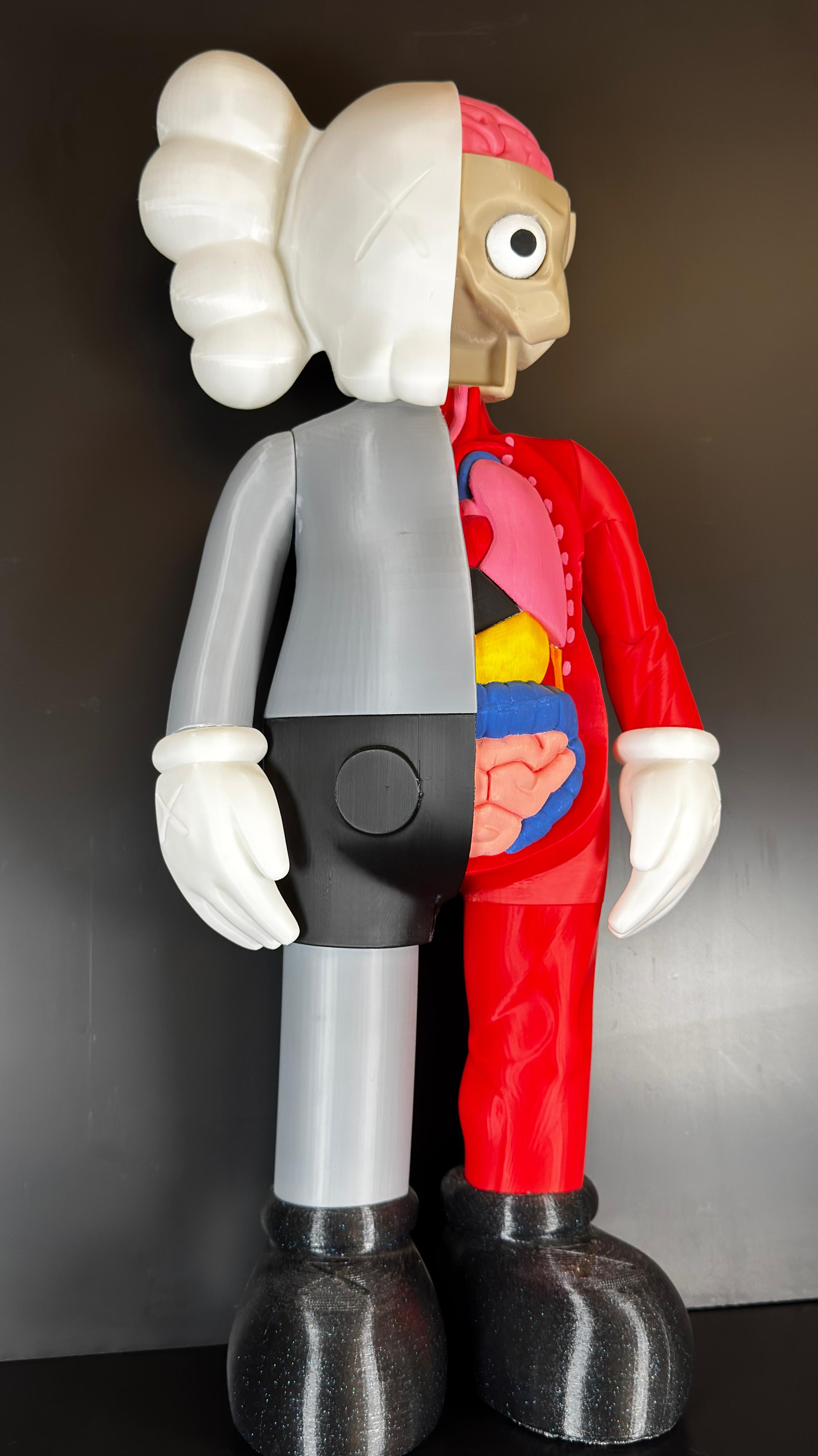 Kaws Disecado - Imagen 4