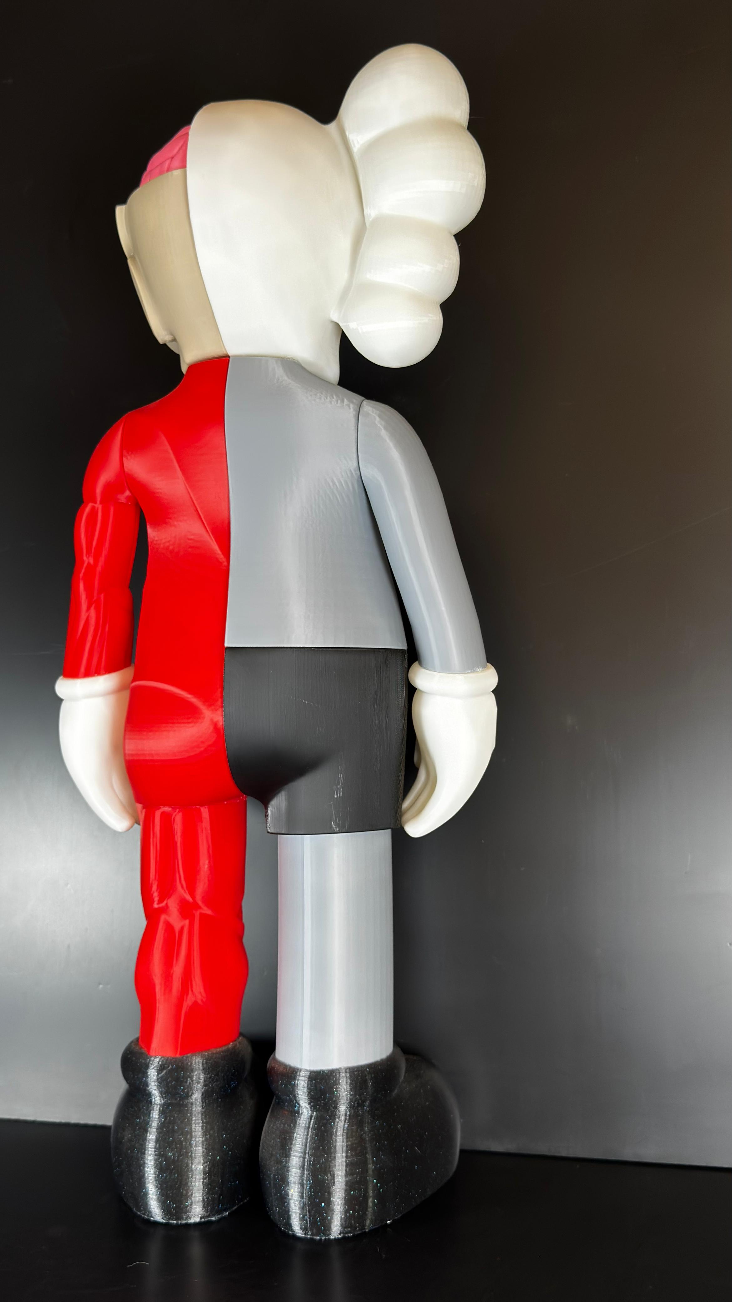 Kaws Disecado - Imagen 6