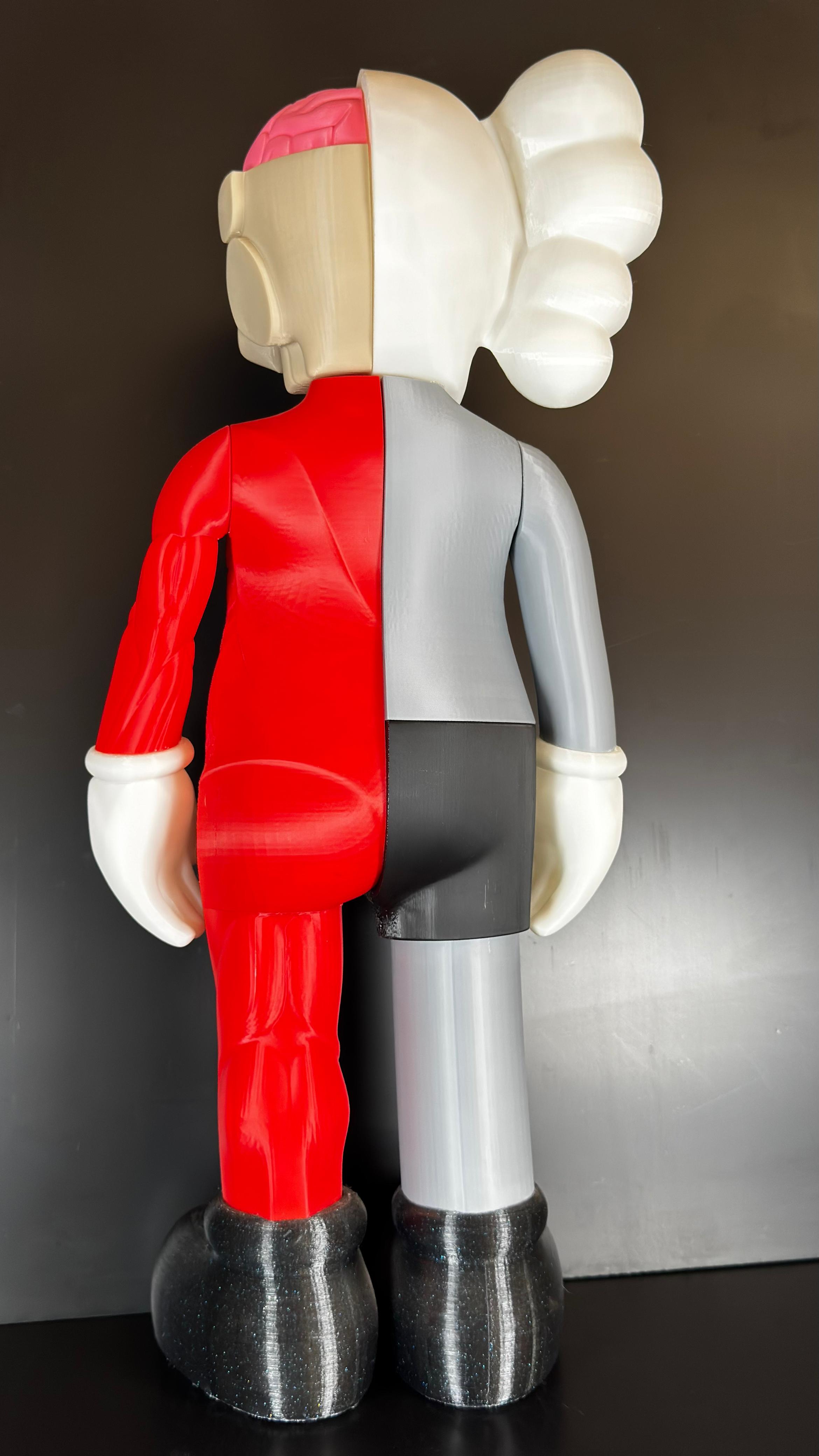 Kaws Disecado - Imagen 5