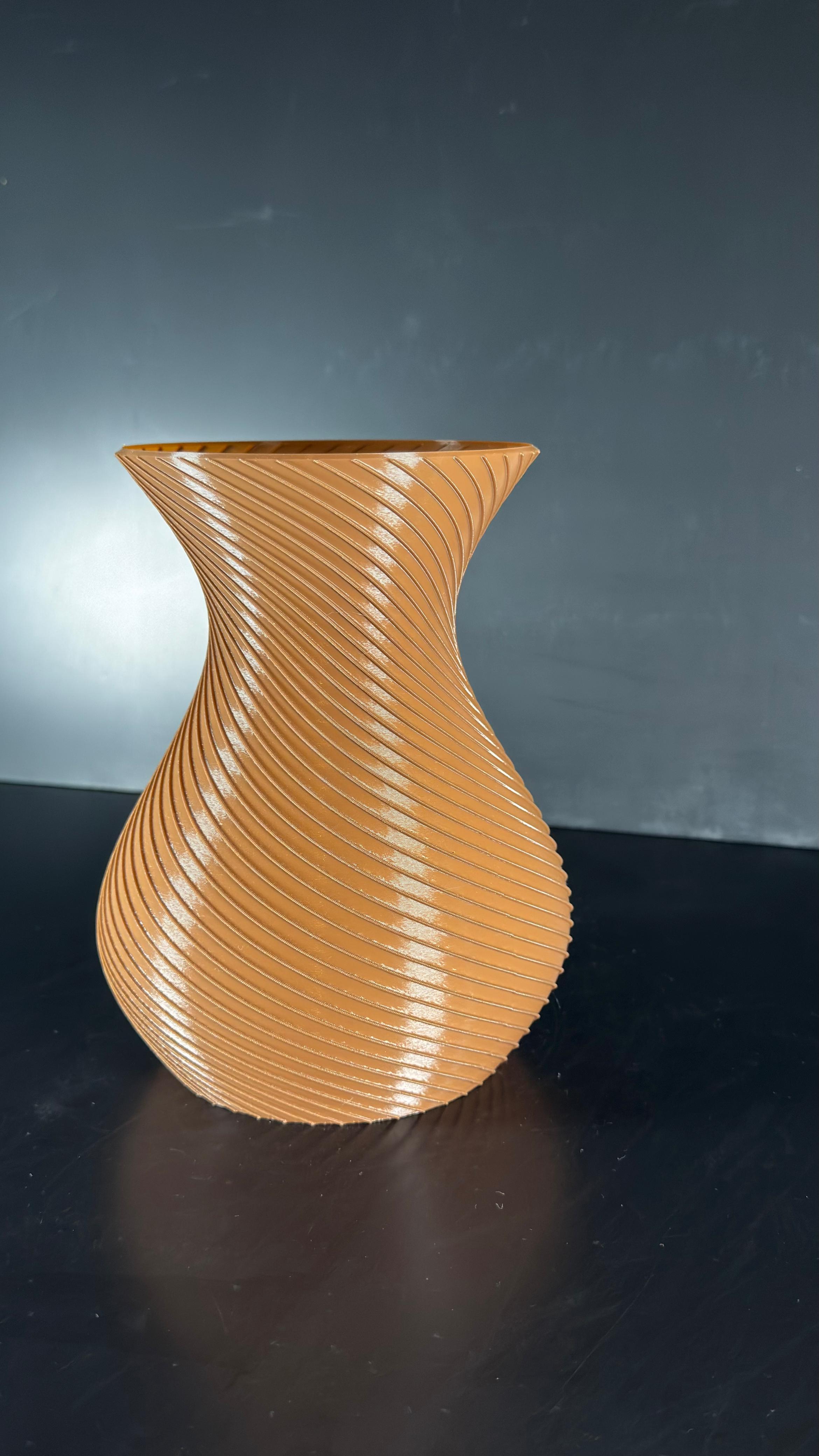 Jarrón en Espiral - Imagen 3