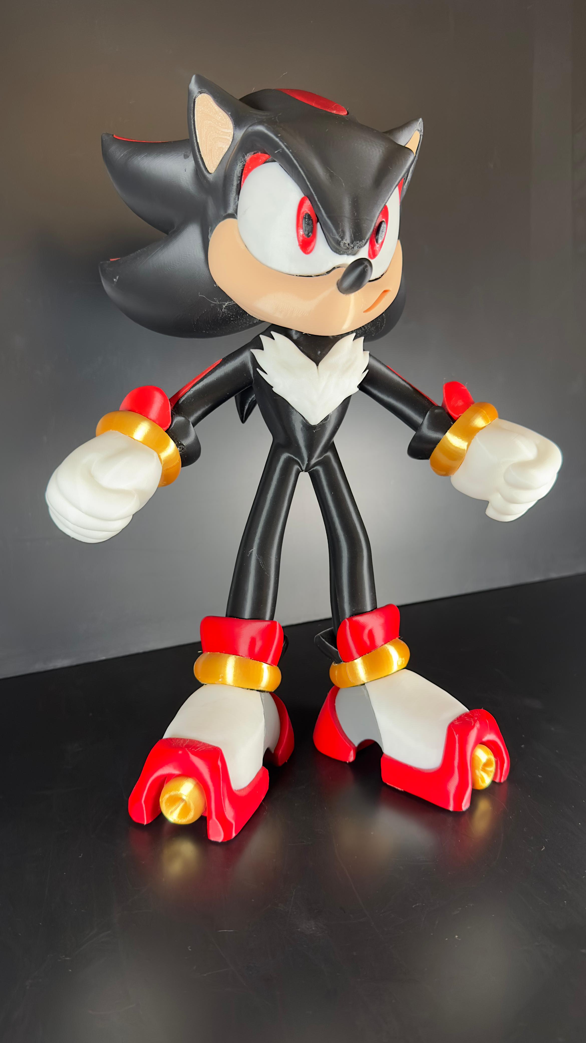 Shandon Sonic - Imagen 4