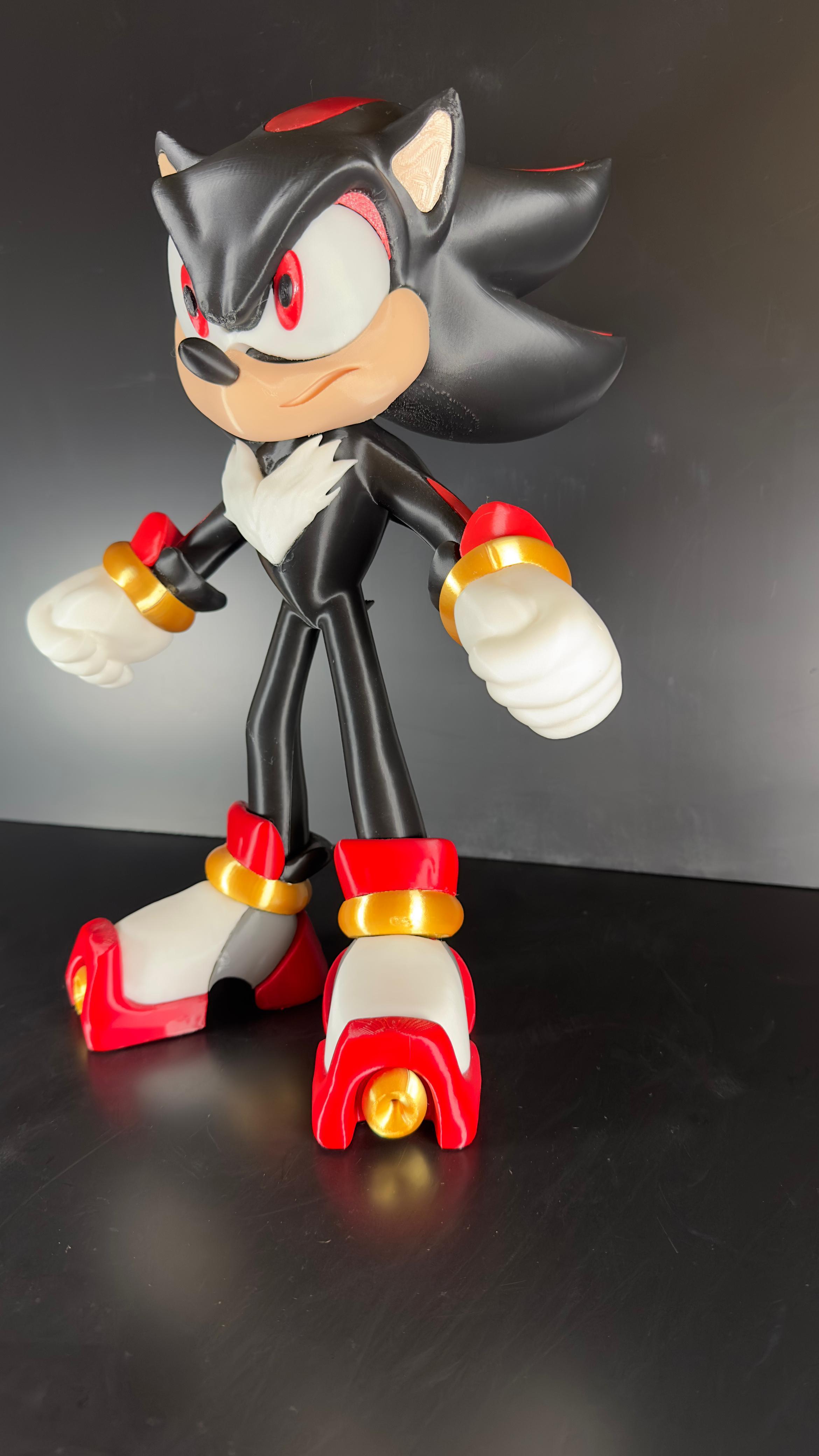 Shandon Sonic - Imagen 3