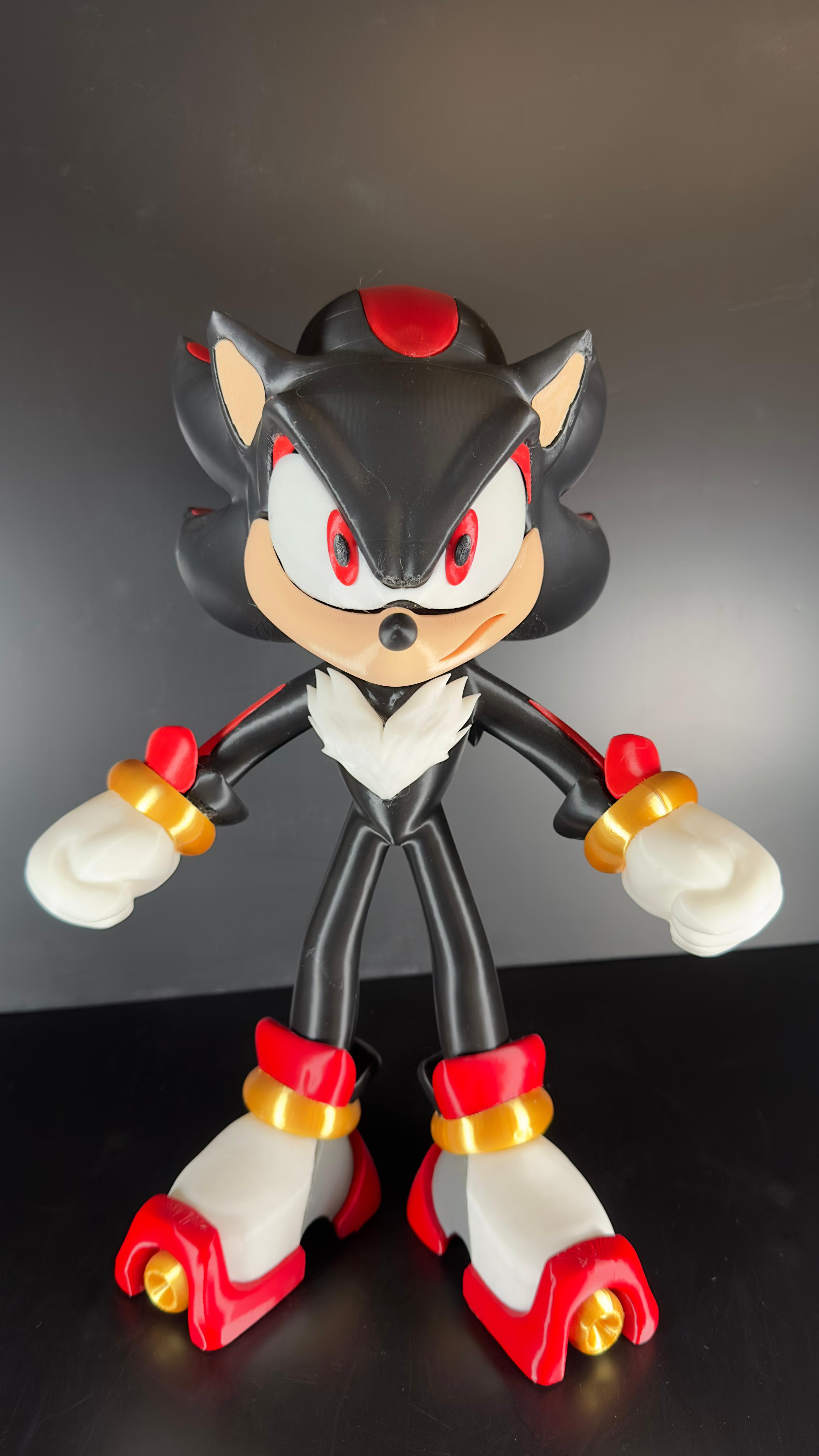 Shandon Sonic - Imagen 5