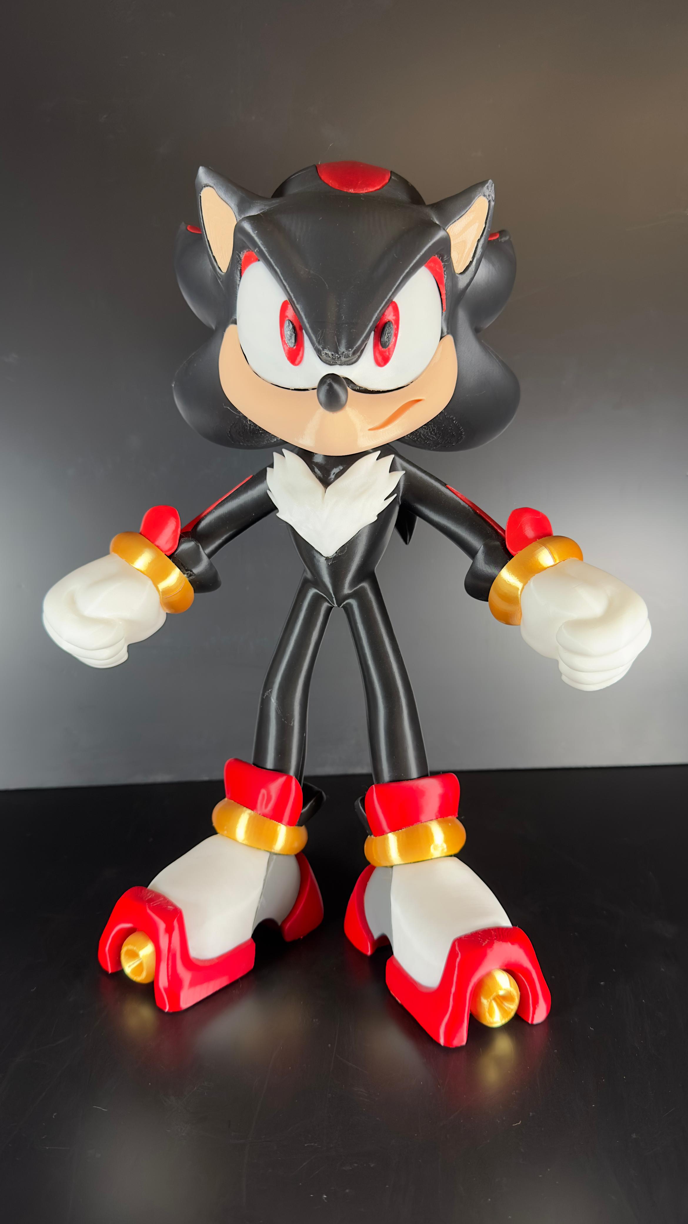 Shandon Sonic - Imagen 6