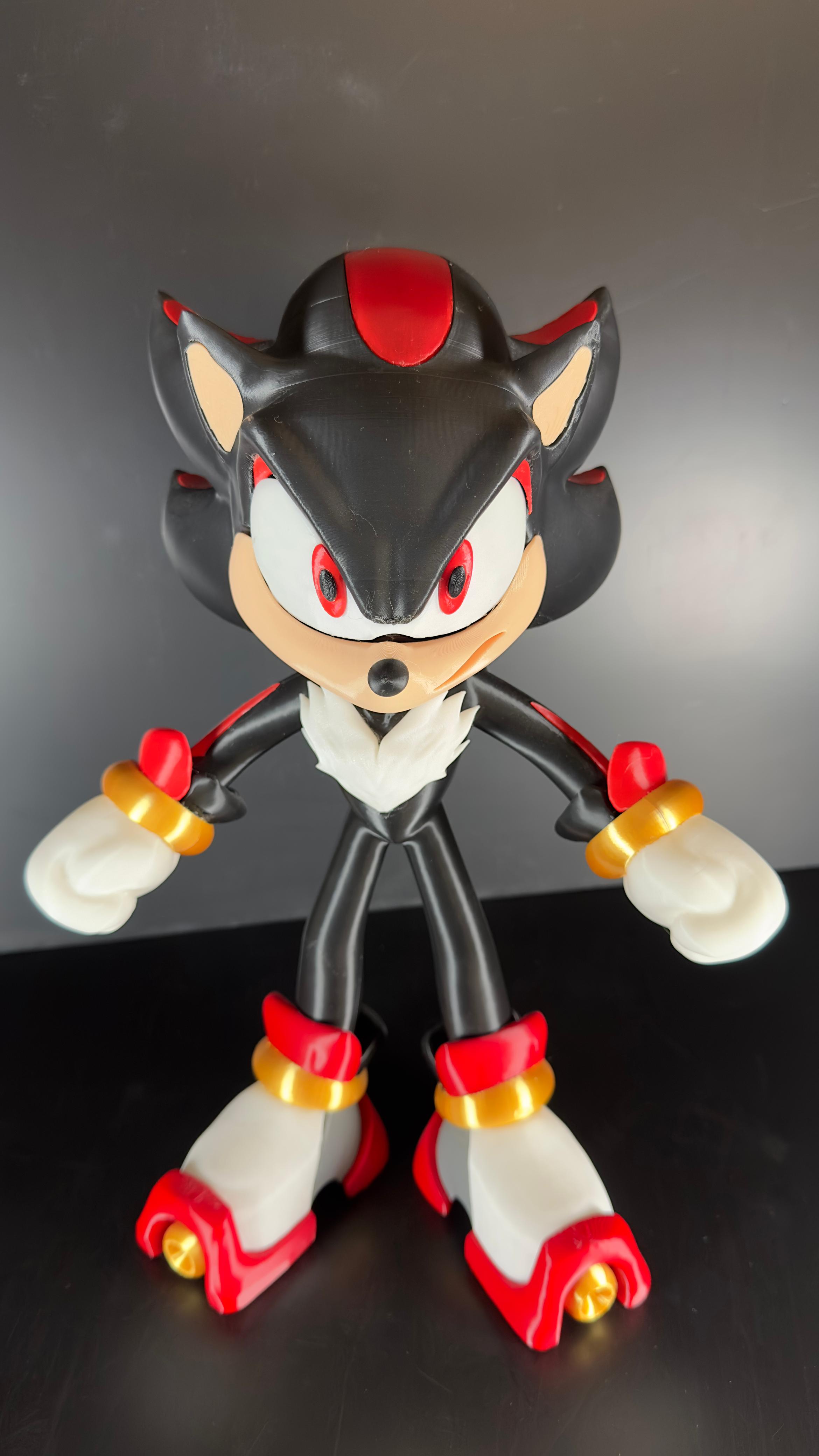 Shandon Sonic - Imagen 2