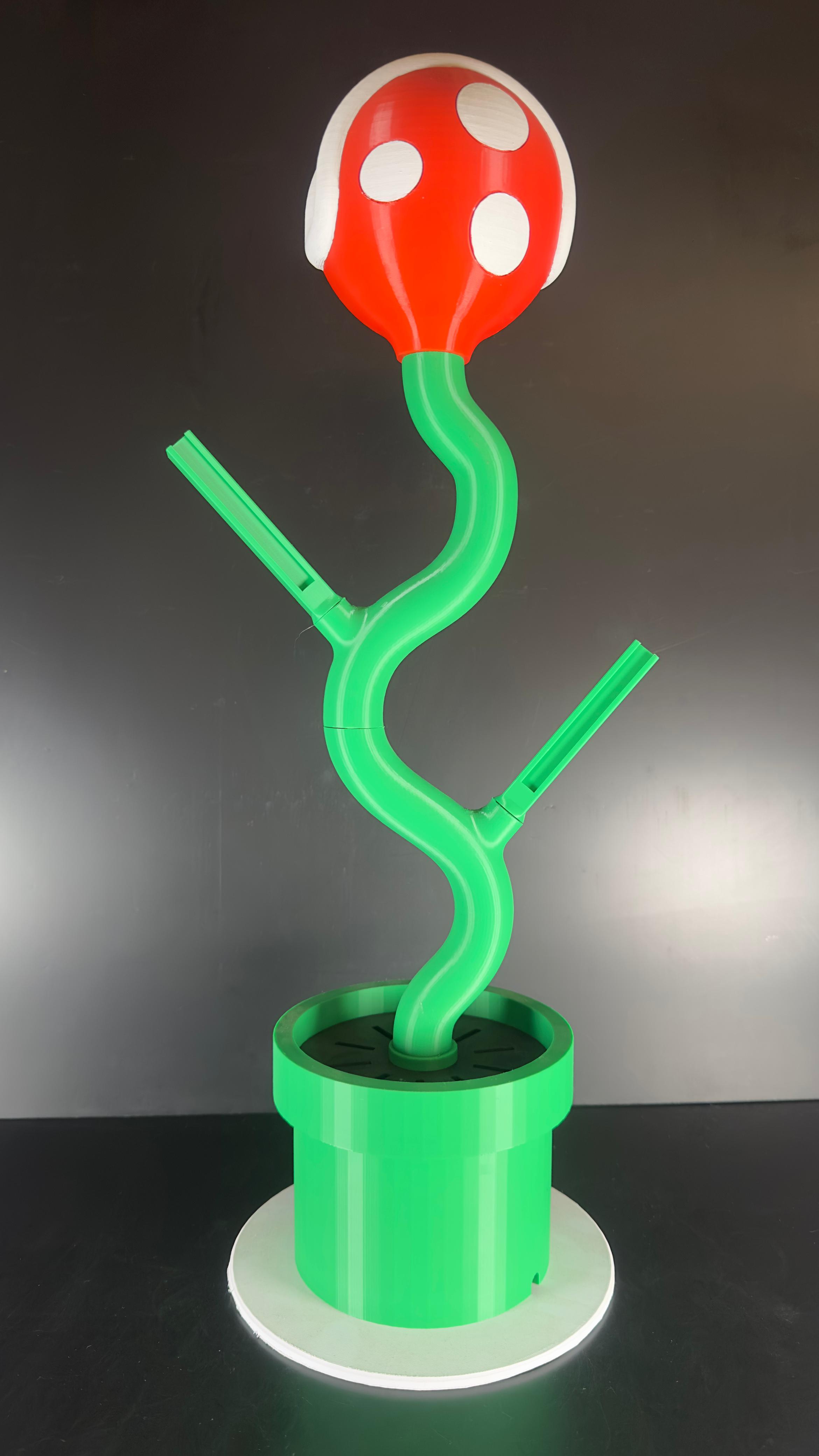 Soporte para NS de Planta Piraña. - Imagen 6