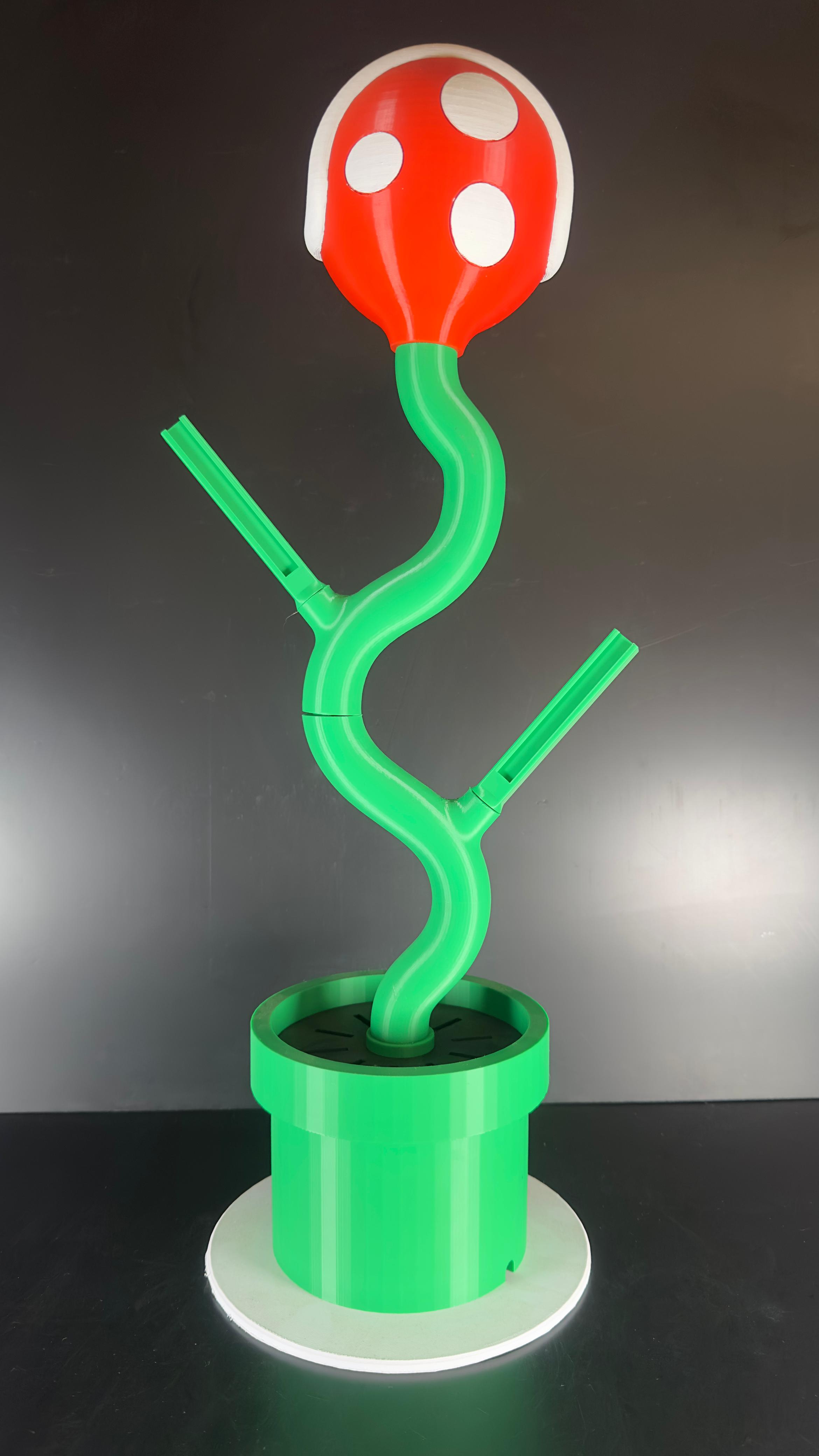 Soporte para NS de Planta Piraña. - Imagen 8