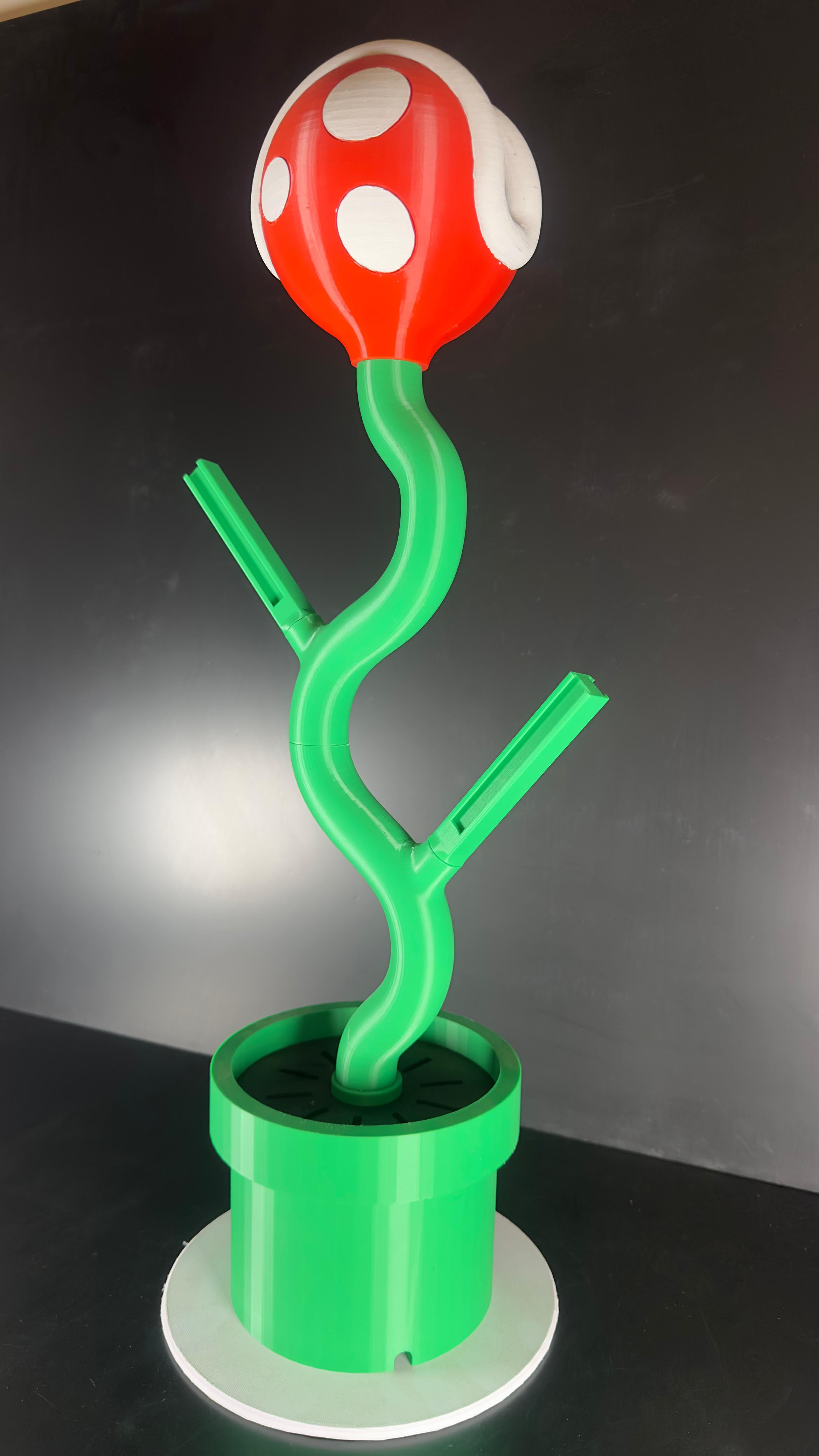 Soporte para NS de Planta Piraña. - Imagen 3