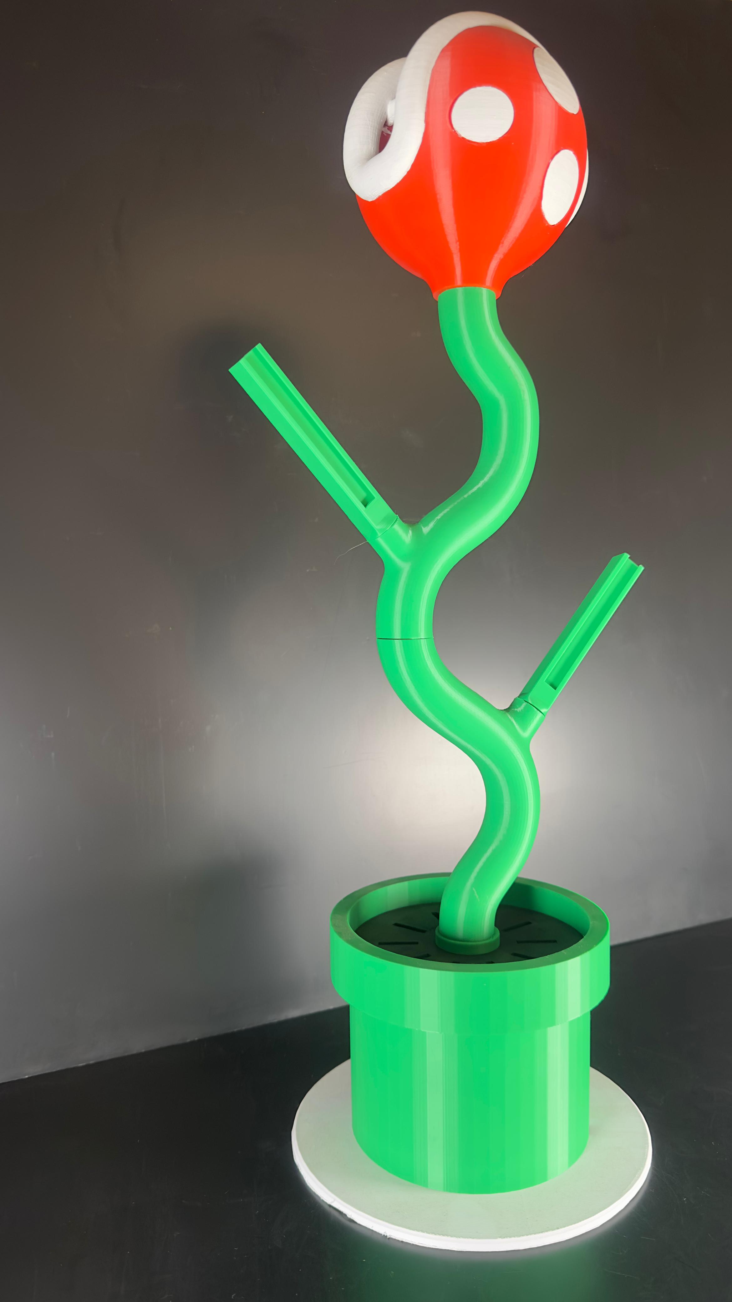 Soporte para NS de Planta Piraña. - Imagen 4