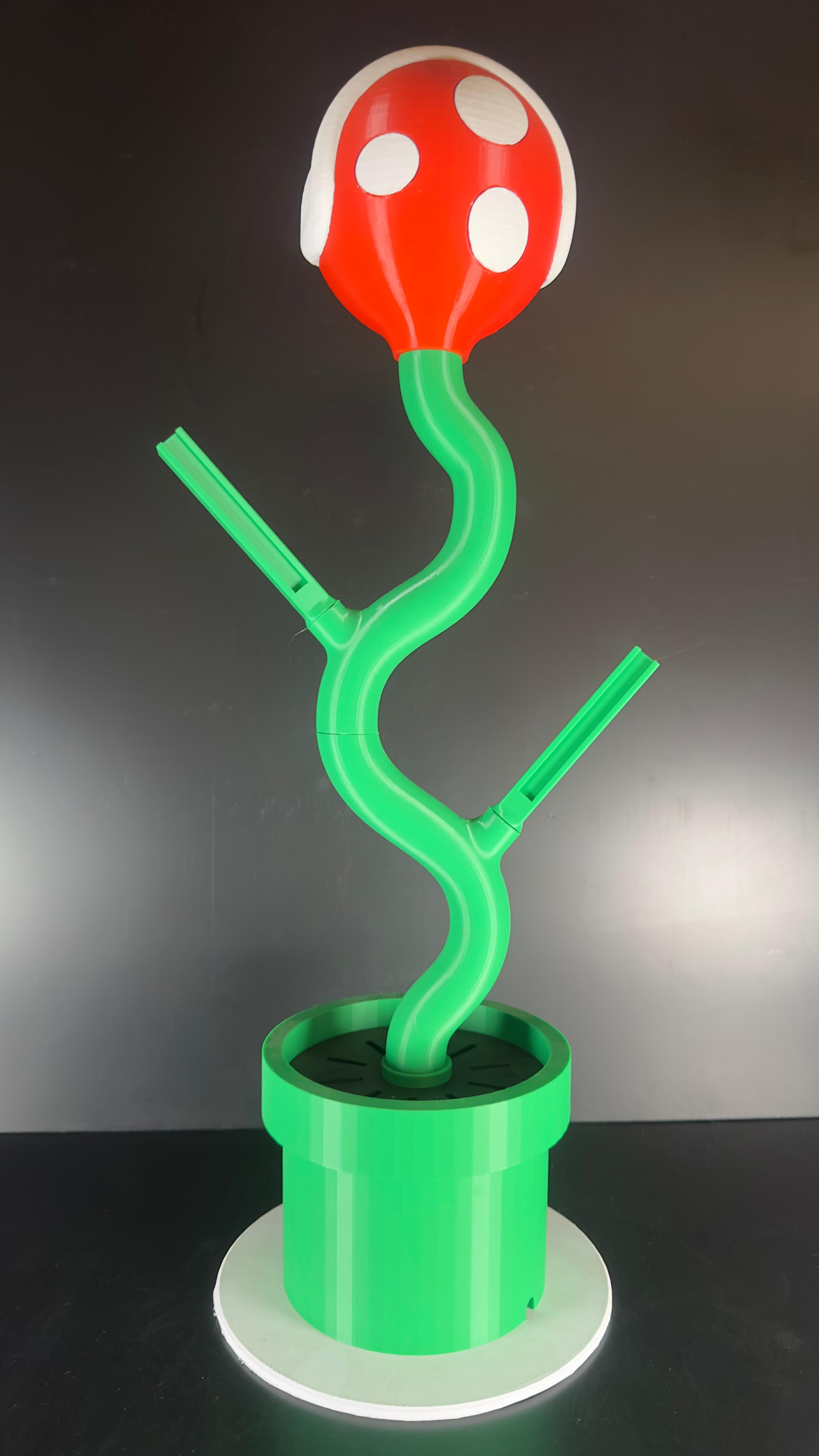 Soporte para NS de Planta Piraña. - Imagen 5