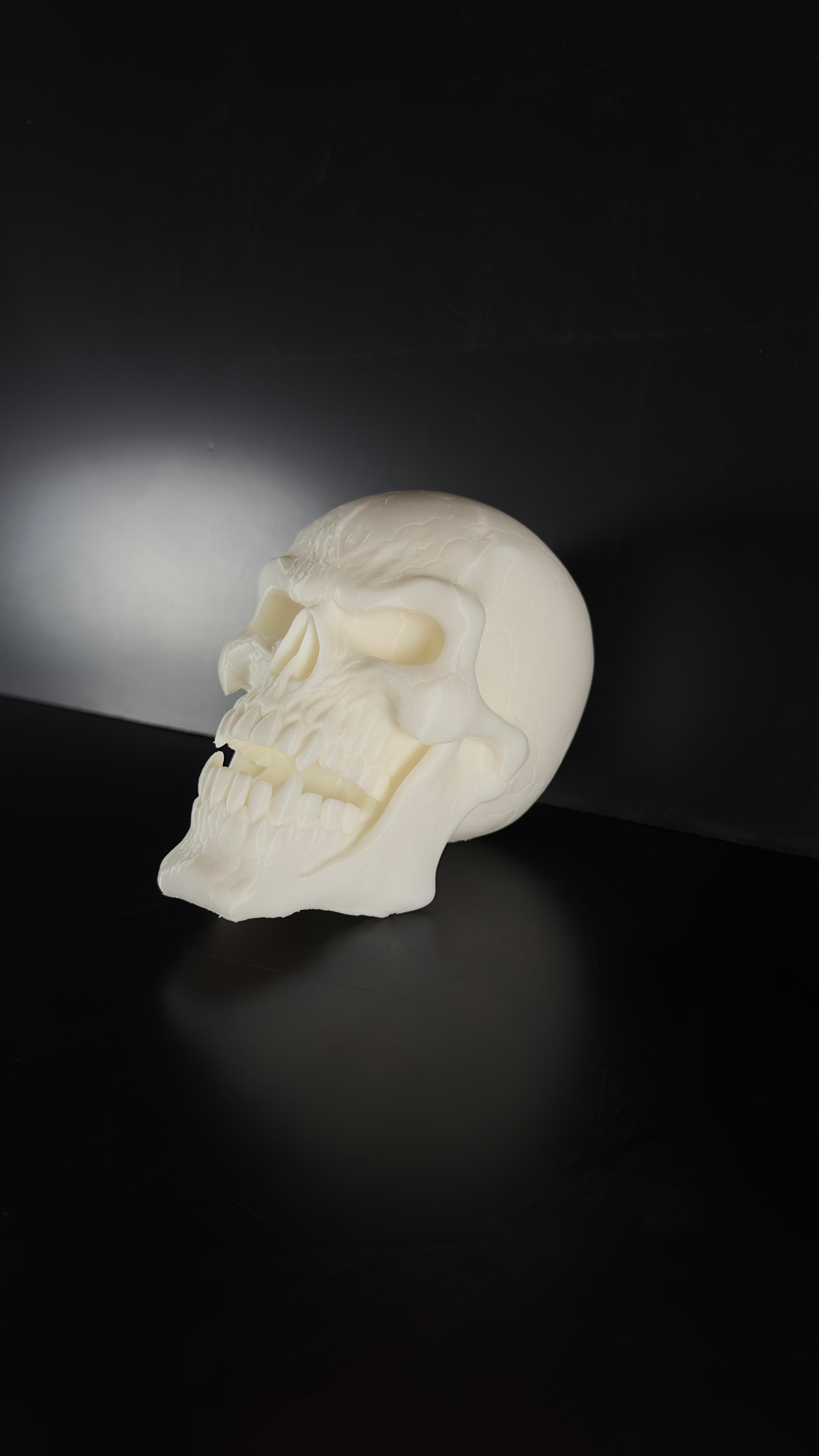 Calavera Demoniaca. - Imagen 3