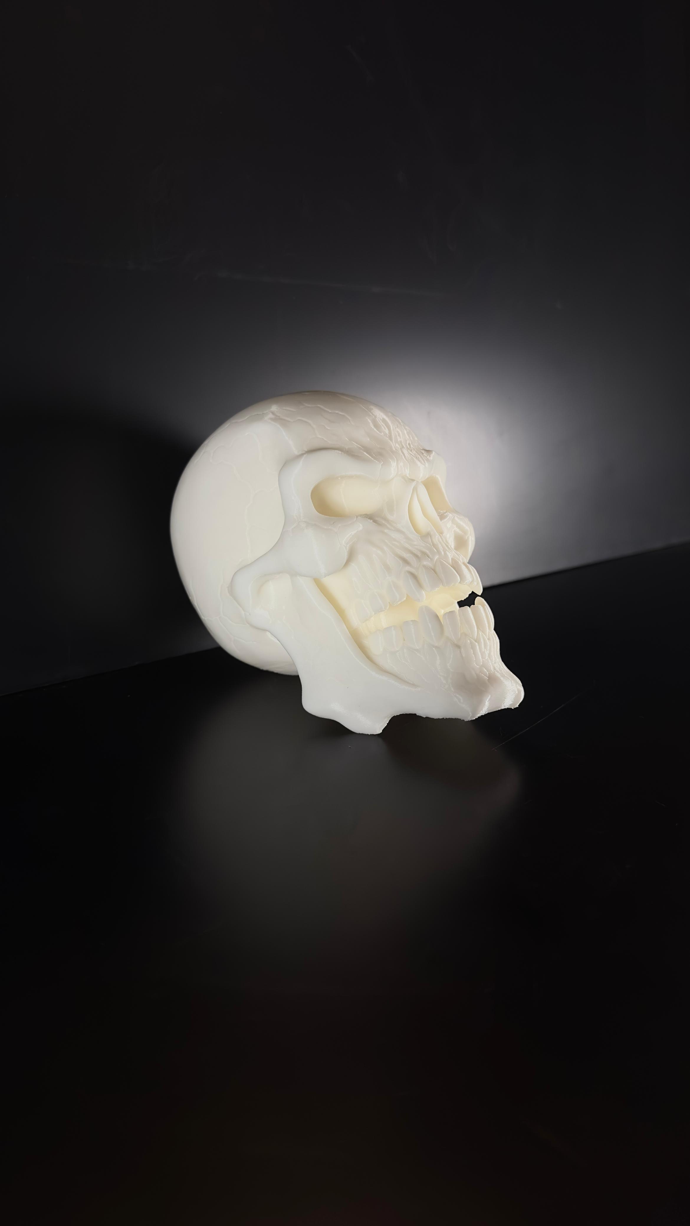 Calavera Demoniaca. - Imagen 5