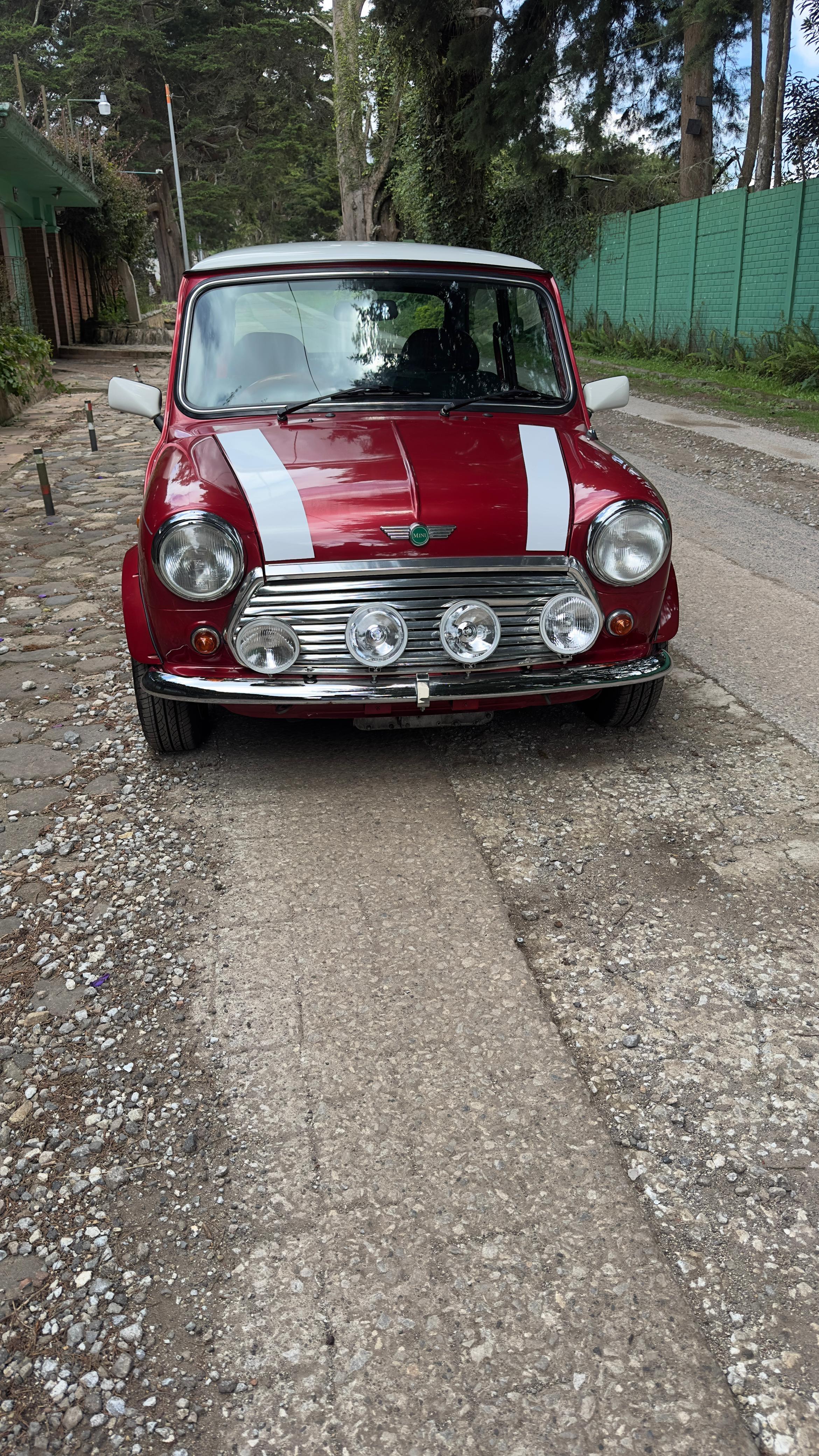 Mini LIMOUSINE EDICION TARTAN - Imagen 3