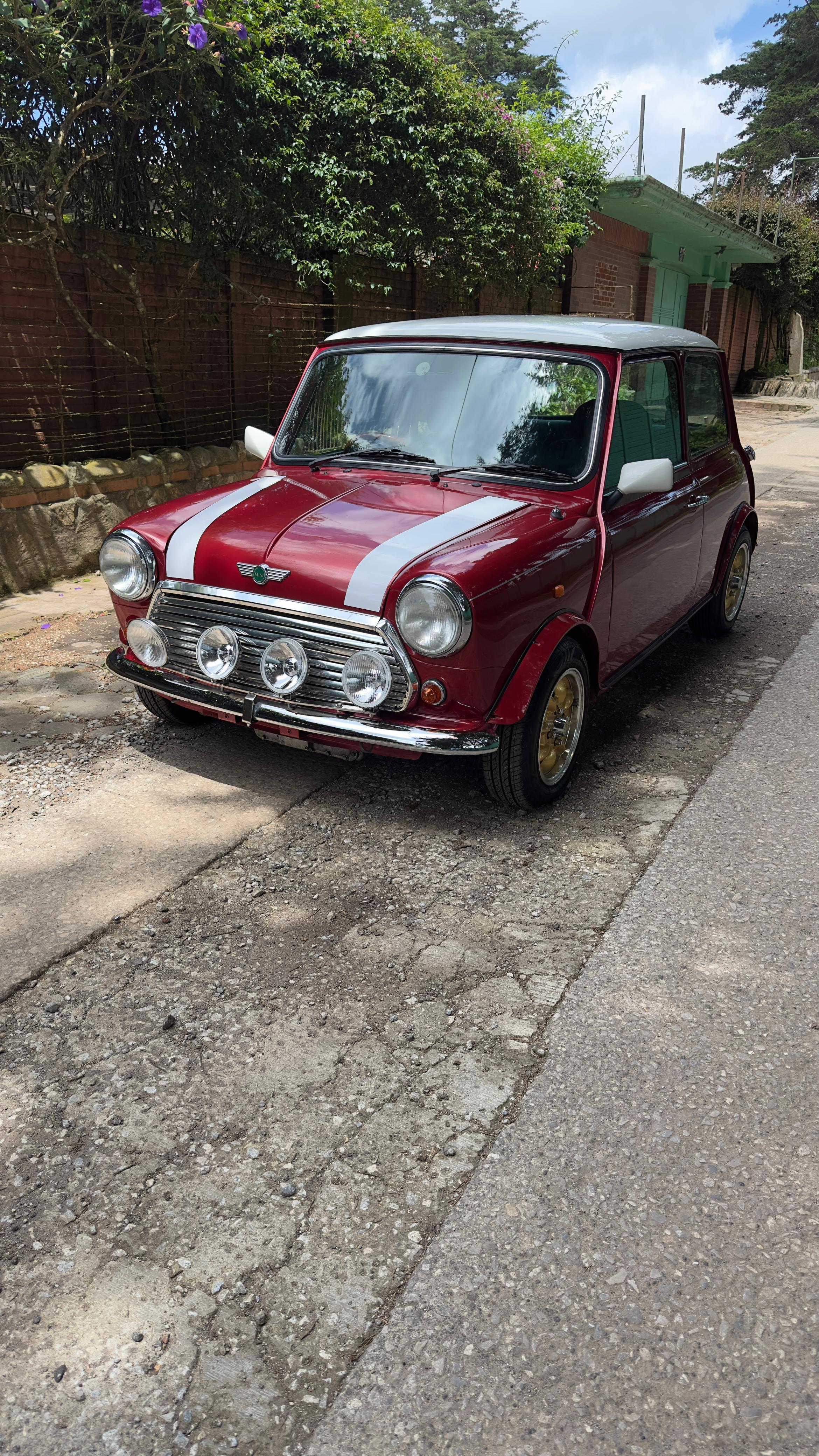 Mini LIMOUSINE EDICION TARTAN - Imagen 4