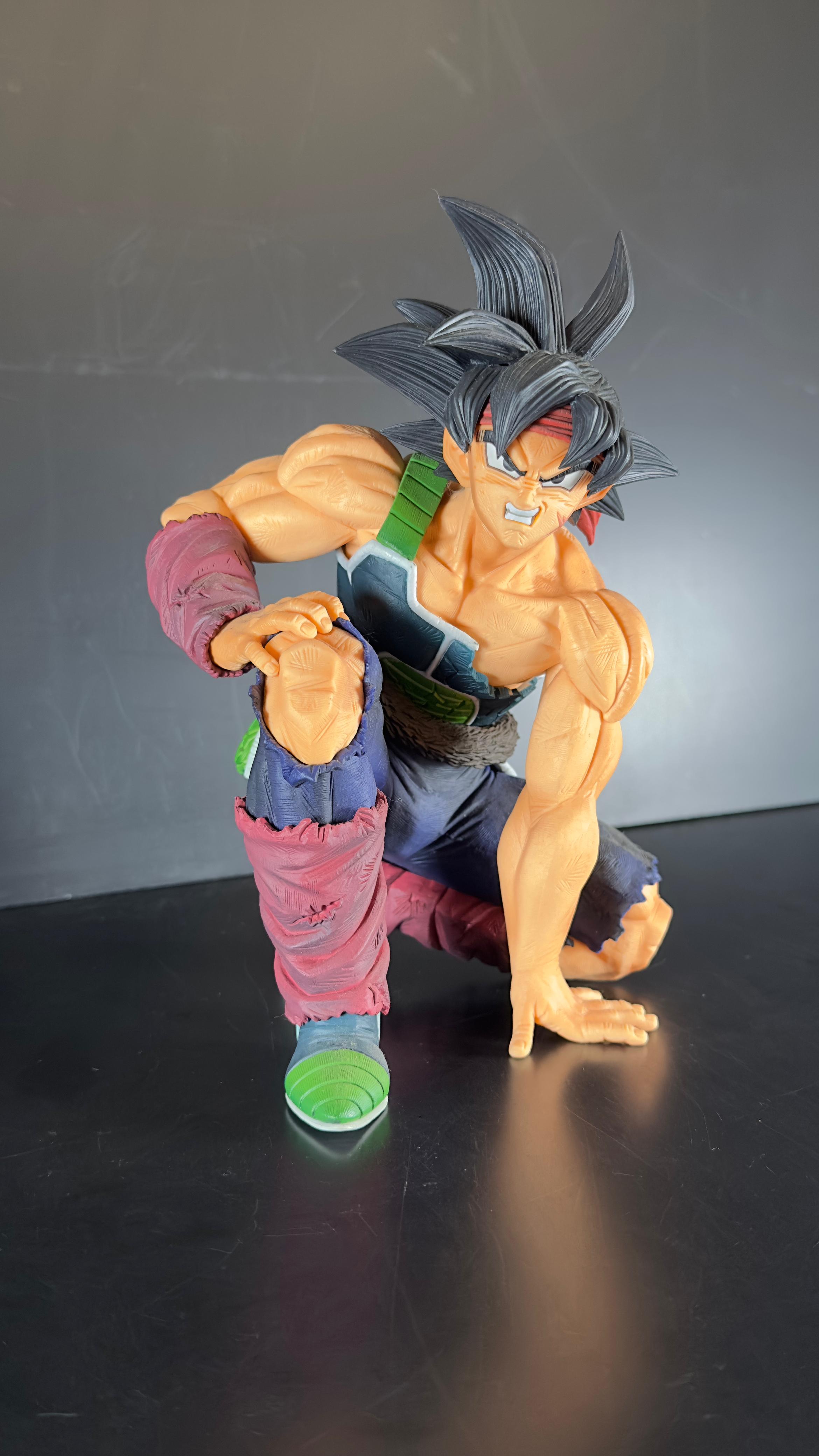 The Bardock - Imagen 4