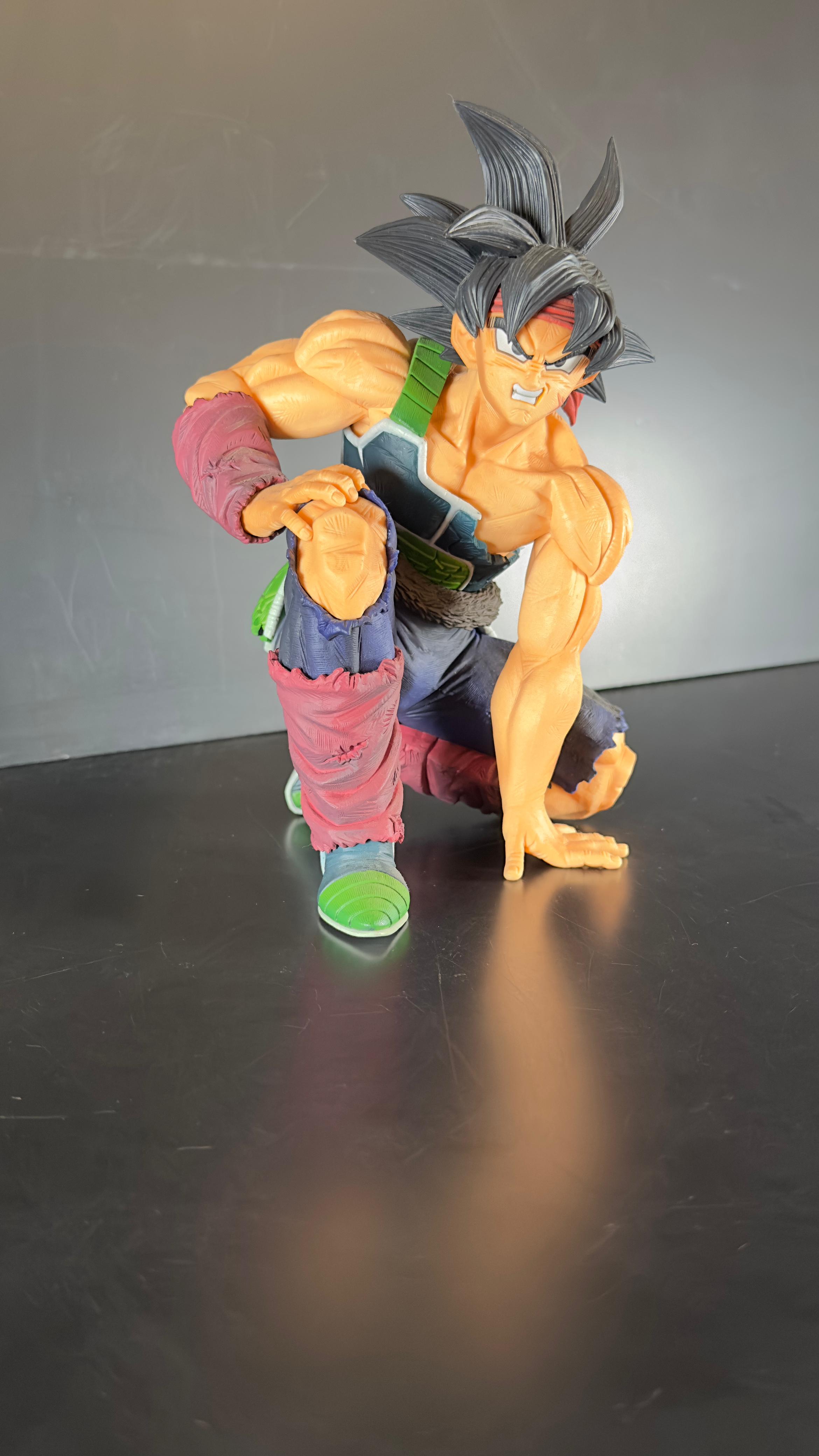The Bardock - Imagen 3