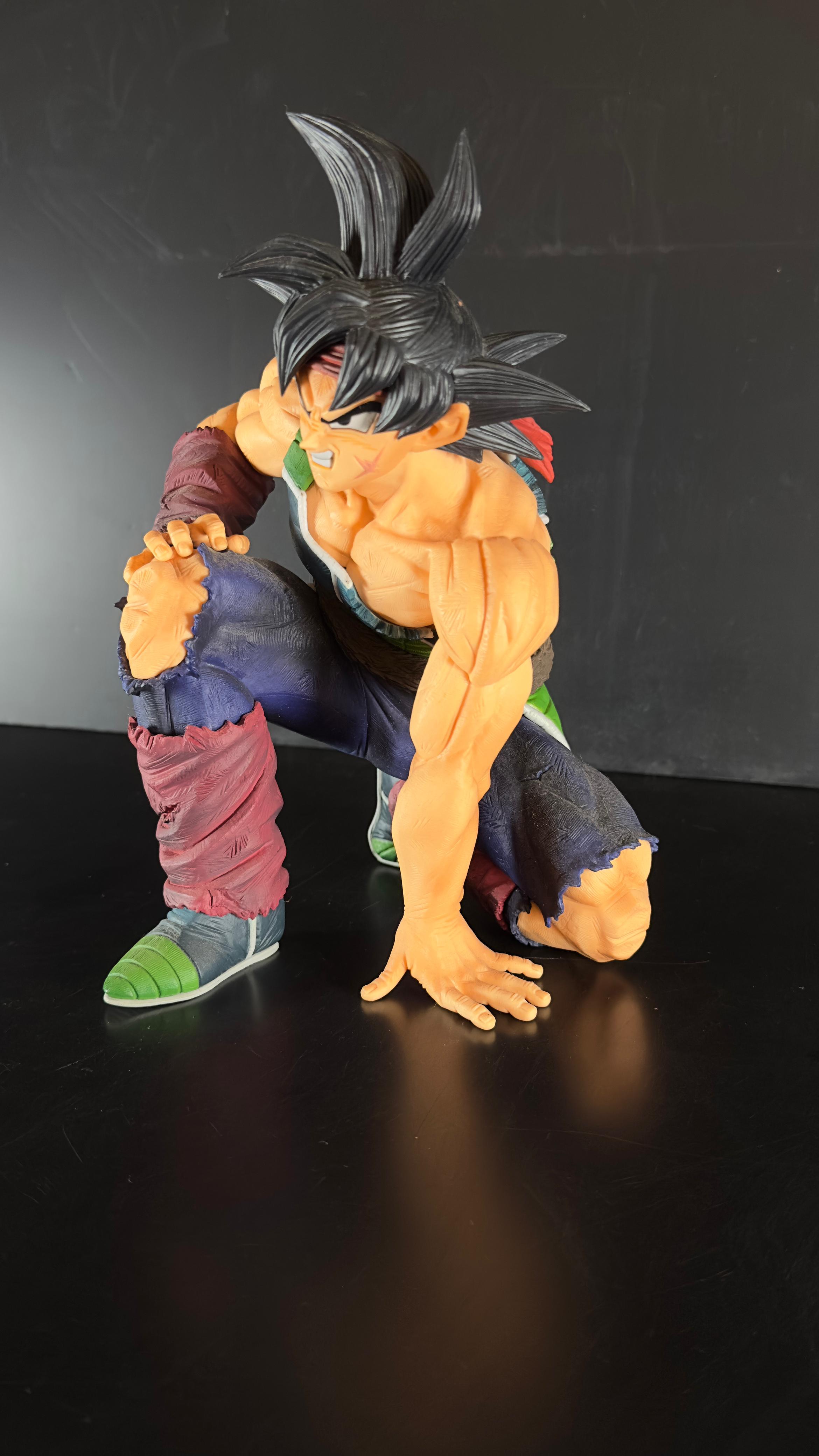 The Bardock - Imagen 2