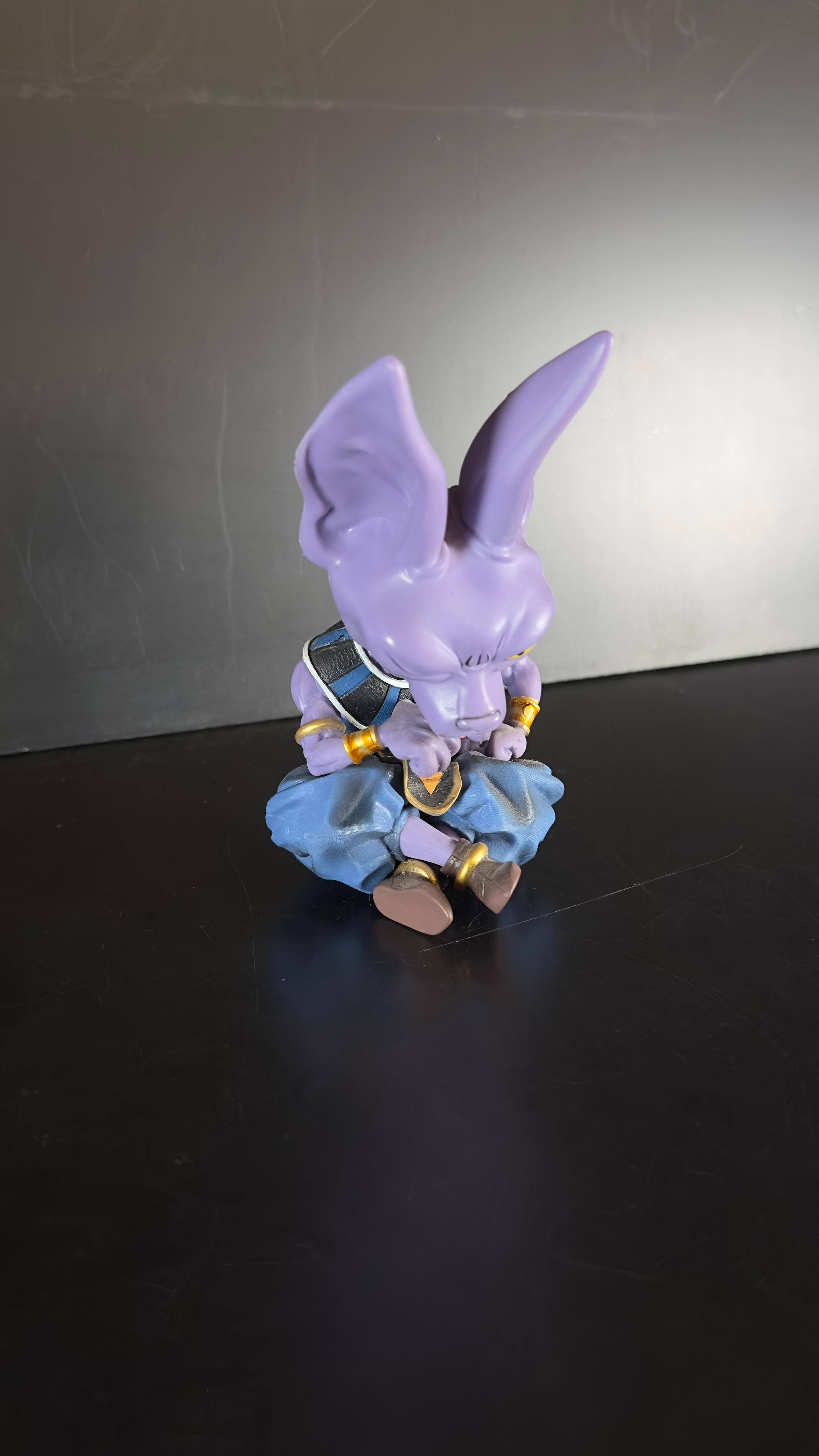Bills (Beerus) - Imagen 5